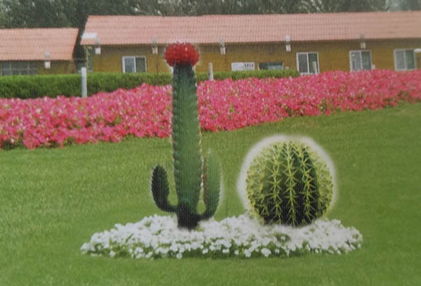 玻璃钢仙人球雕塑